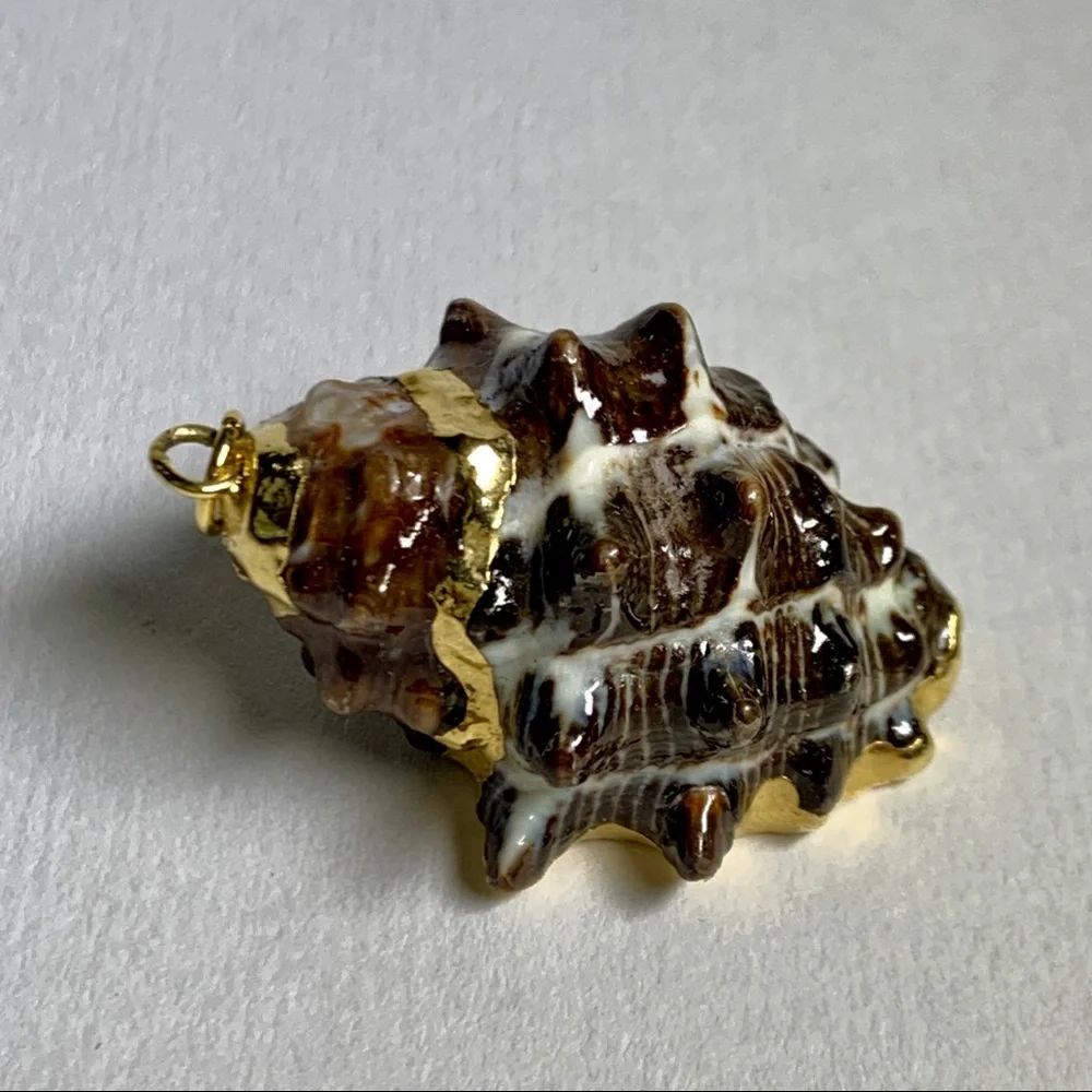 ⭐️ Gold Plated Shell ⭐️ - Picture 7 of 8